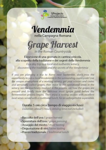 Vendemmia - Grape Harvest